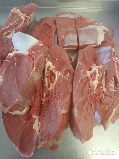 Мясо говядина с доставкой