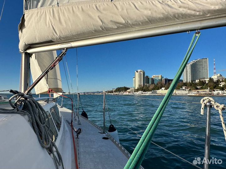 Обучение, практика, прогулка на парусной яхте