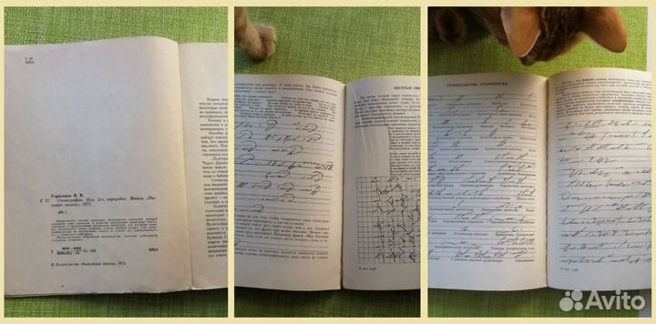 В.В. Герасимов. Стенография, 1975