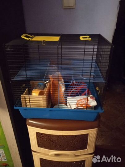 Клетка для грызунов