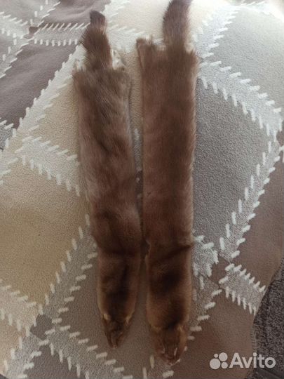 Шкурка животного