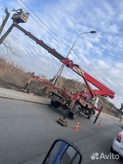 Спил деревьев