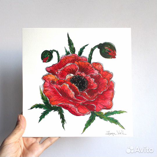 Картина акварелью цветок Красный МАК 20х20 см
