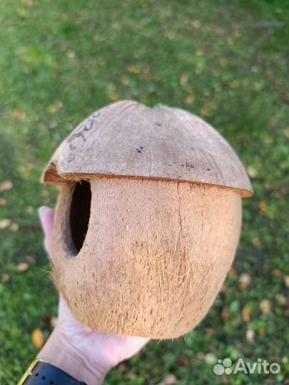 Гнездо домик для птиц из кокоса