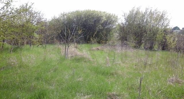 Участок 4 сот. (СНТ, ДНП)