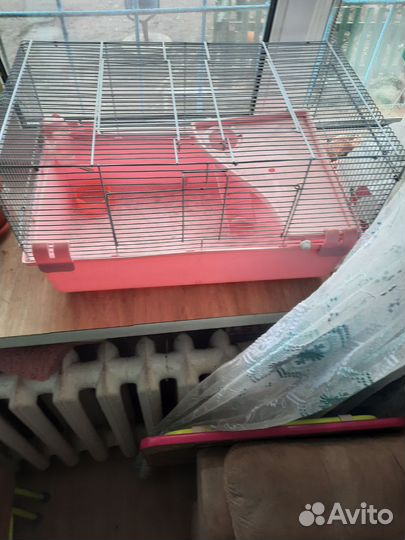 Клетка большая