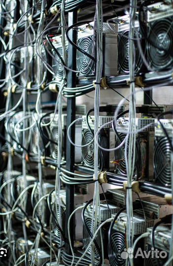 Хостинг-Майнинг отель-Крипта