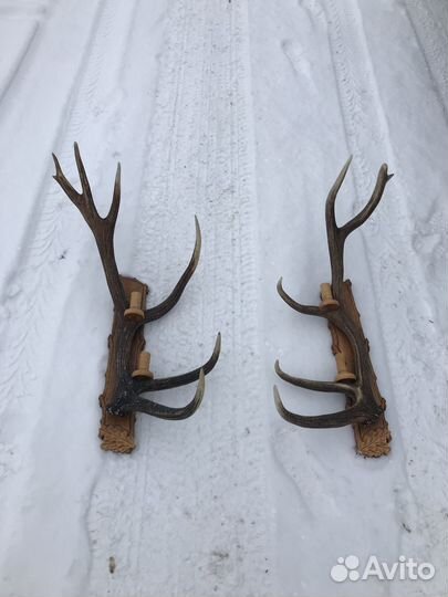 Настенный светильник бра 2 шт