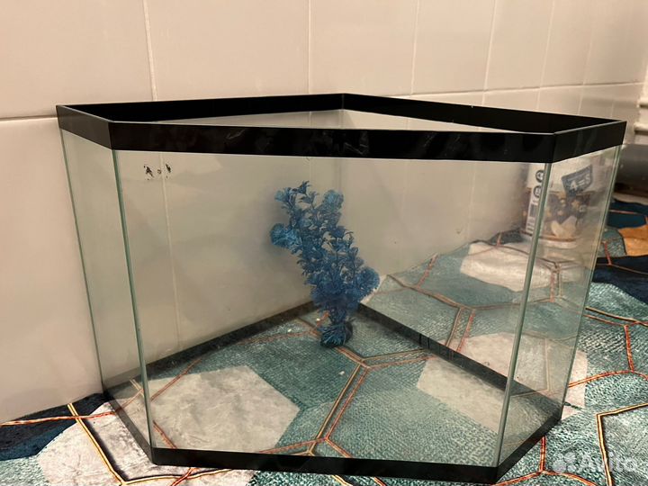 Аквариумные