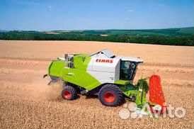 Услуги по уборки урожая комбайнами