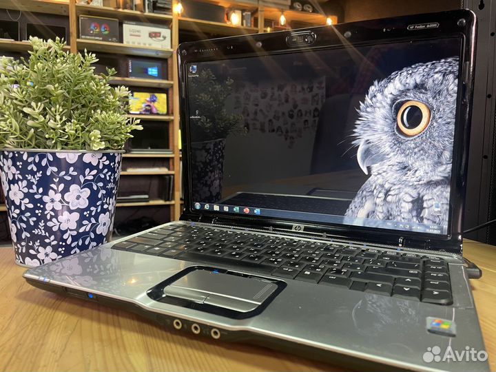 Ноутбук HP / 14