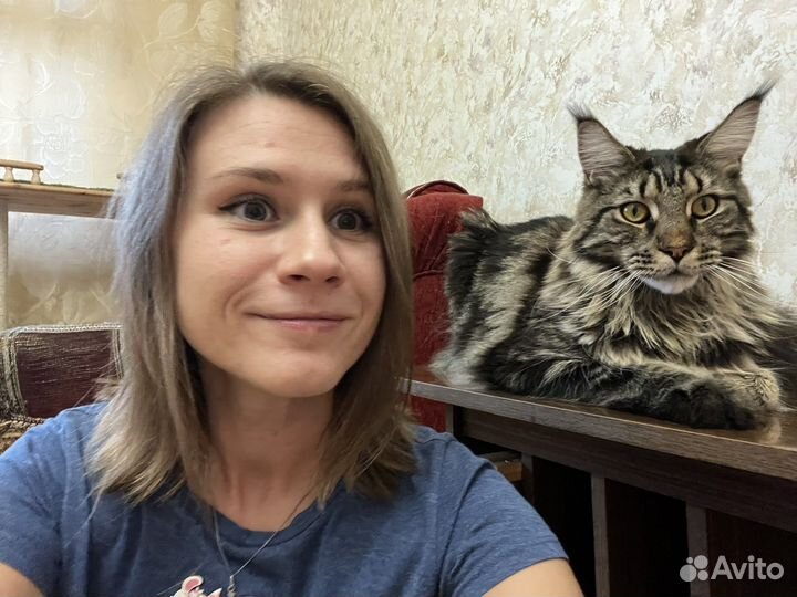 Котоняня/передержка на время отъезда