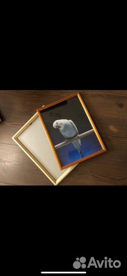 Рамки для фотографий