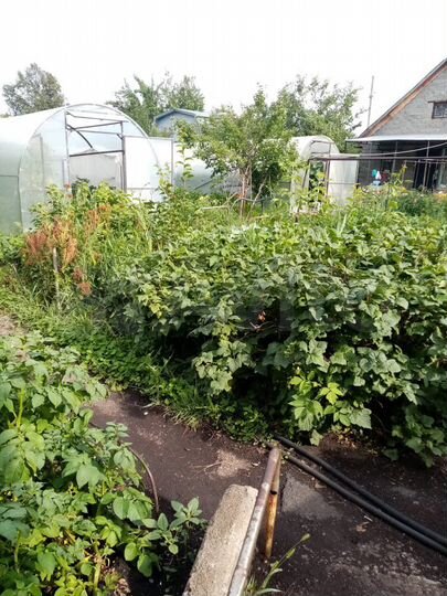 Дача 48 м² на участке 10 сот.