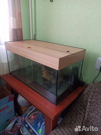 Аквариум