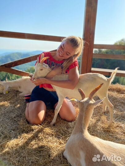 Экскурсии на экоферме с купанием и полётом на шаре