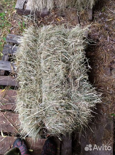 Сено в тюках