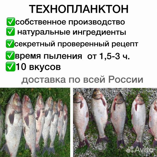 Технопланктон оптом и в розницу