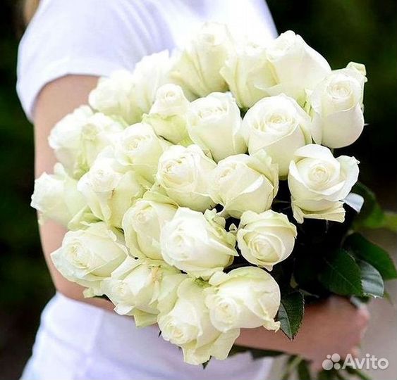 Высокие розы Гигантские розы Доставка цветов