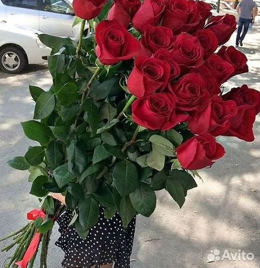 Высокие розы Гигантские розы Доставка цветов