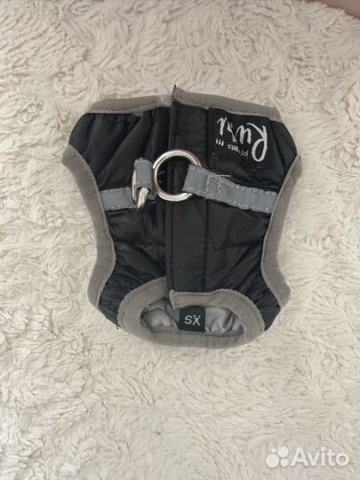 Шлейка для мини собачек с поводком