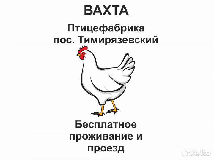 Вахта. Птицефабрика. Грузчики