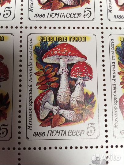 Почтовые марки СССР