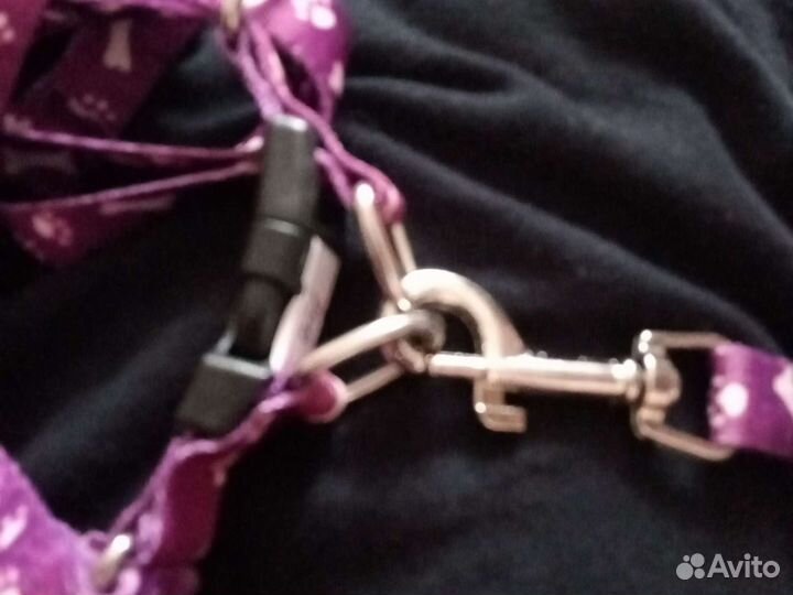 Шлейка поводок