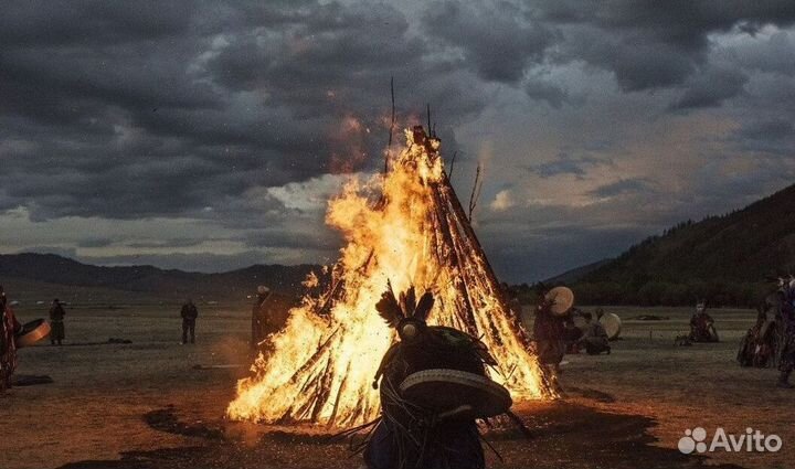 Чай пуэр Мощный чай мощ8008