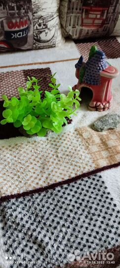 Аквариум для мелких рыб с аксессуарами