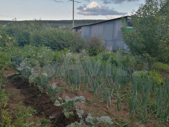 Дом 50 м² на участке 16 сот.