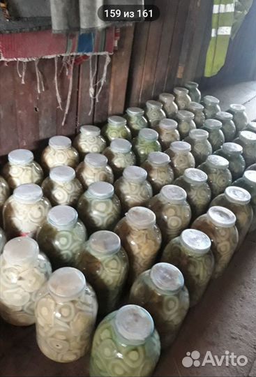 Продам соленые грузди