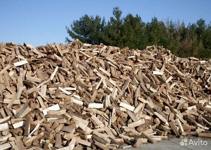 Дрова березовые