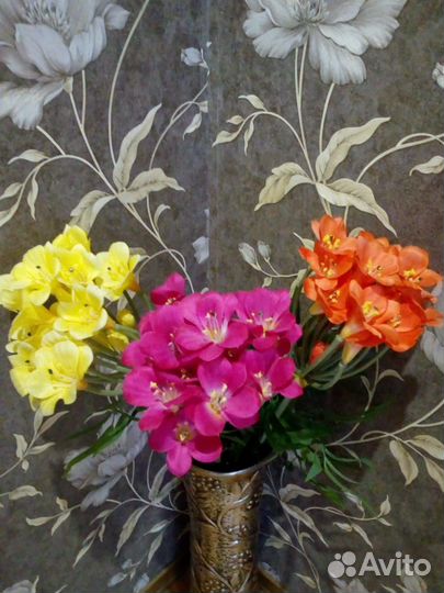 Фрезия цветы интерьерные