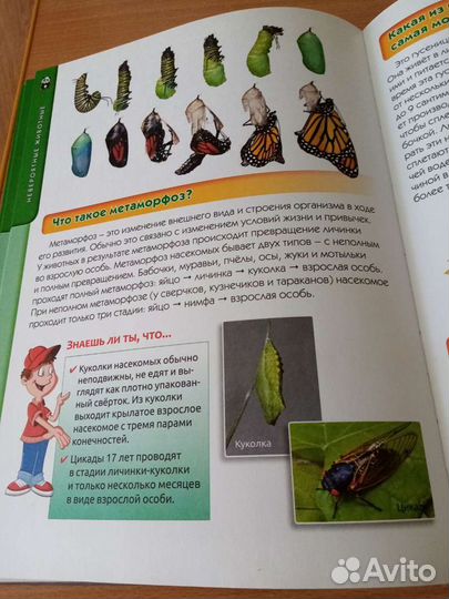 Большая детская энциклопедия 6+