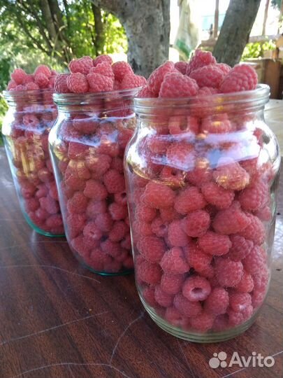 Саженцы малины