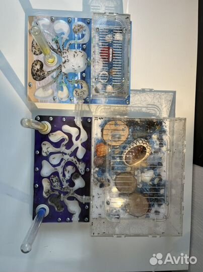 Муравьиные фермы