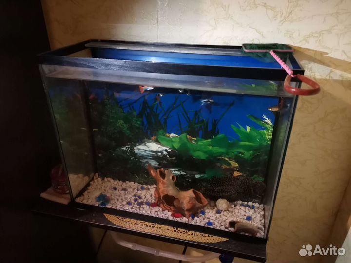 Аквариум с рыбками 30л
