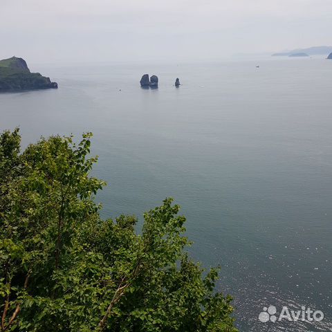 Аренда автомобиля с водителем