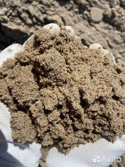 Песок мытый с карьера тараканом