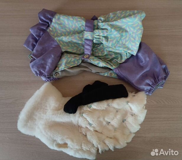Одежда для маленькой собачки пакетом