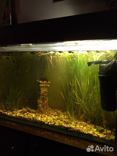 Аквариум