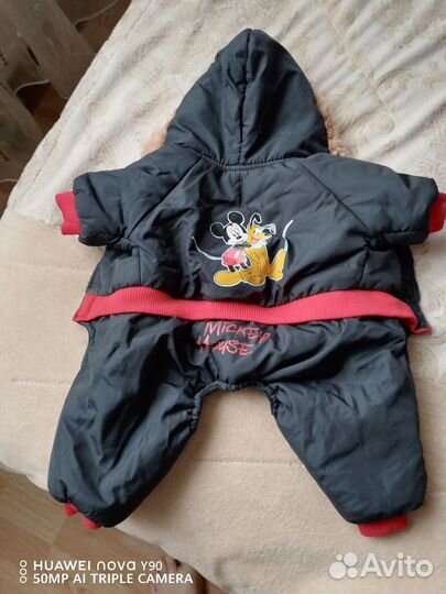 Одежда для маленьких собак зима