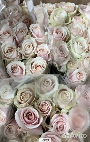 Оптовая база цветы, цветы оптом с доставкой