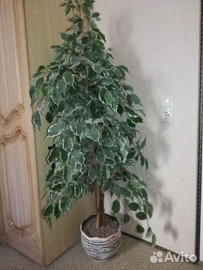 Искусственные растения в горшках