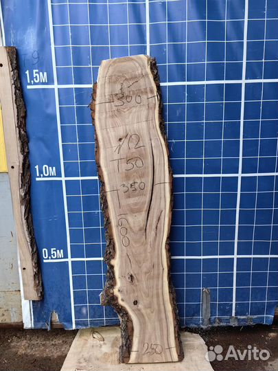 Слэб каповый карагач