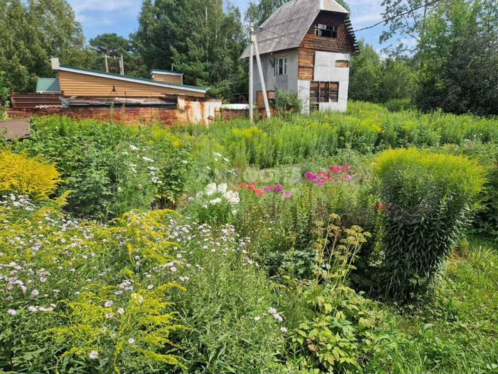 Участок 11,7 сот. (ИЖС)