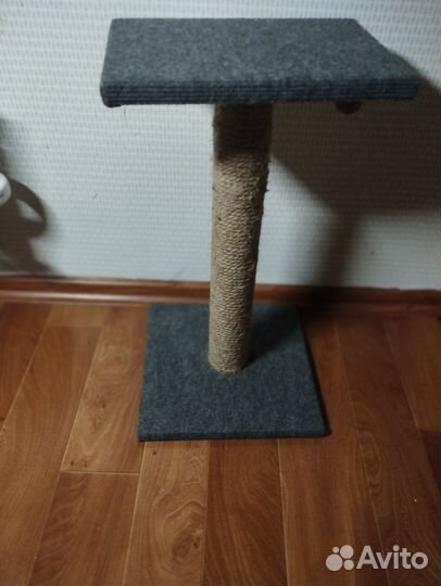 Когтеточка для котят
