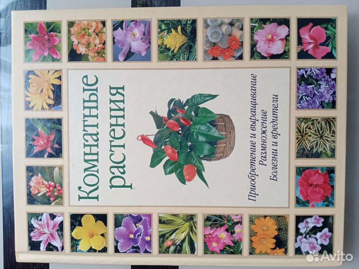 Книга. Мини-энциклопедия 