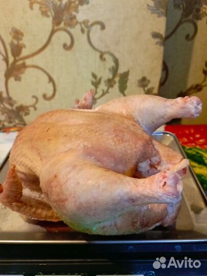 Мясо домашнего бройлера(10 месяцев)